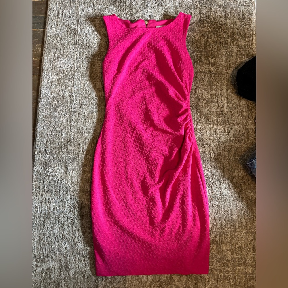 Bisou Bisou Fuchsia Dress with Gold Zipper